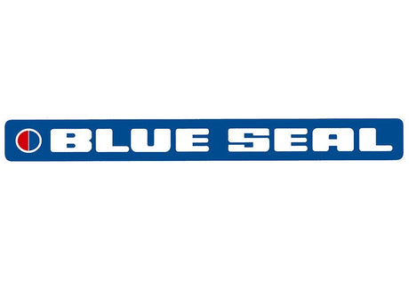 Blue Seal Fryers