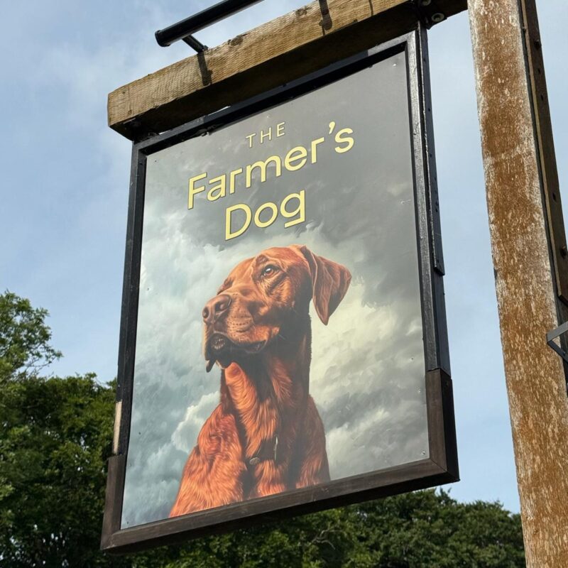Farmers Dog Production Kitchen 